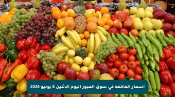 أسعار الفاكهة في سوق العبور اليوم الاثنين 8 يونيو 2026